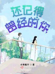 还记得我曾经歌词