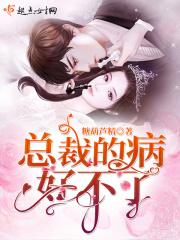 总裁他病得不清